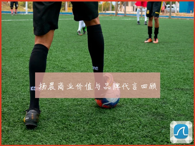 杨晨商业价值与品牌代言回顾