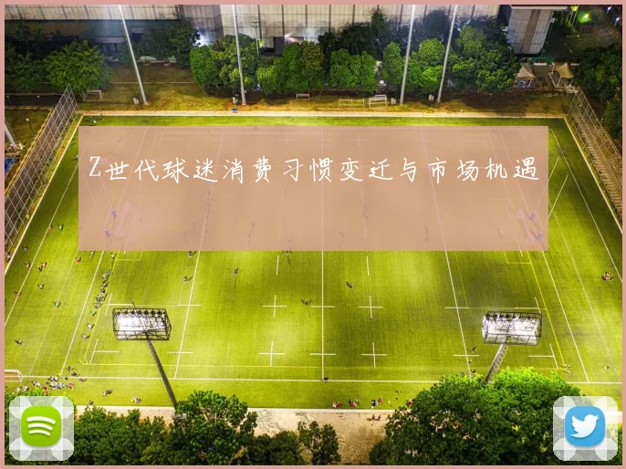 Z世代球迷消费习惯变迁与市场机遇