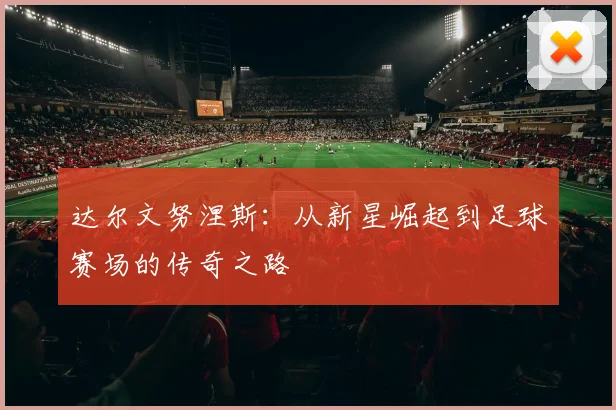 达尔文努涅斯：从新星崛起到足球赛场的传奇之路