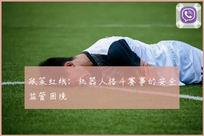 政策红线：机器人格斗赛事的安全监管困境