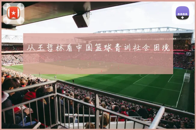 从王哲林看中国篮球青训社会困境