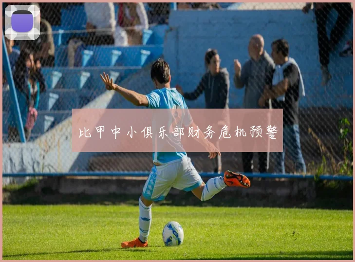 比甲中小俱乐部财务危机预警