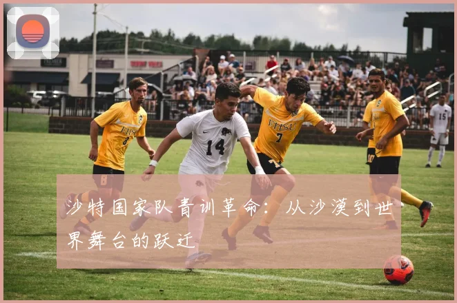 沙特国家队青训革命：从沙漠到世界舞台的跃迁