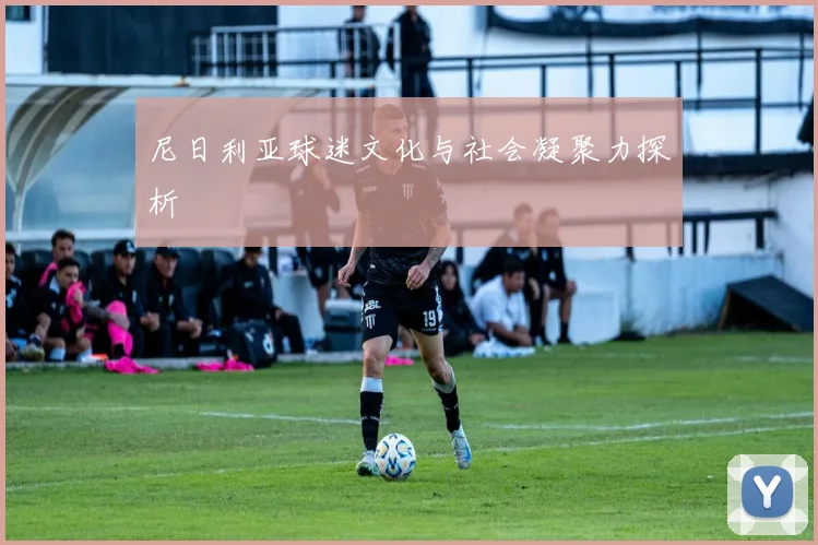 尼日利亚球迷文化与社会凝聚力探析