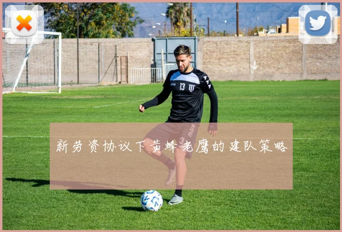 新劳资协议下黄蜂老鹰的建队策略