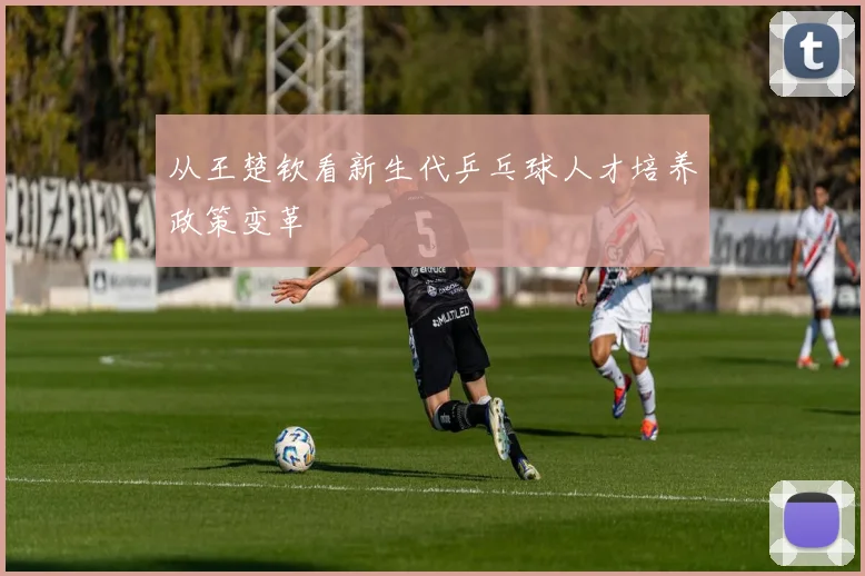 从王楚钦看新生代乒乓球人才培养政策变革