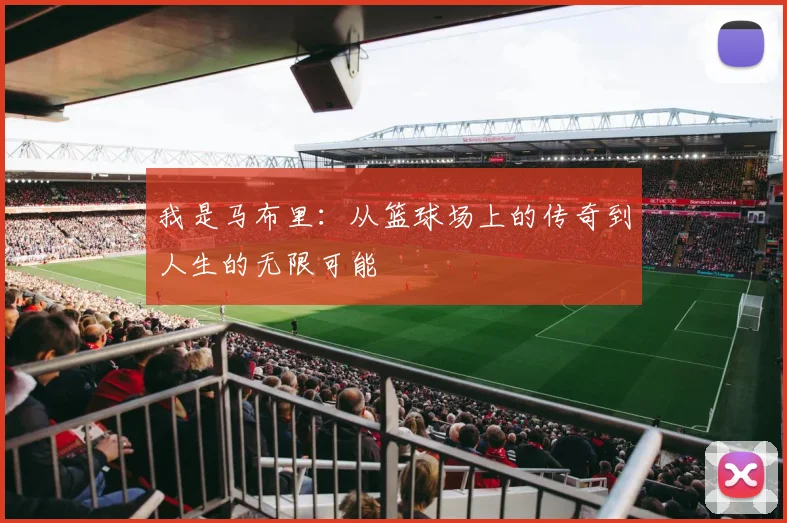 我是马布里：从篮球场上的传奇到人生的无限可能